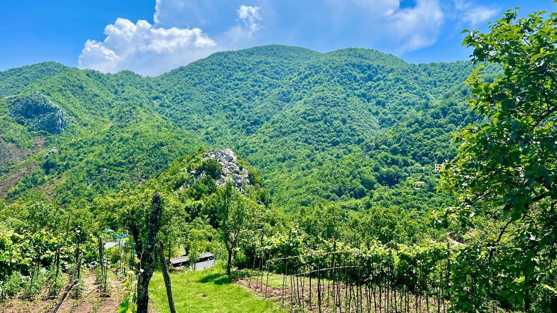 Baven -Toven Naturae Rubik 0*,  Albania
