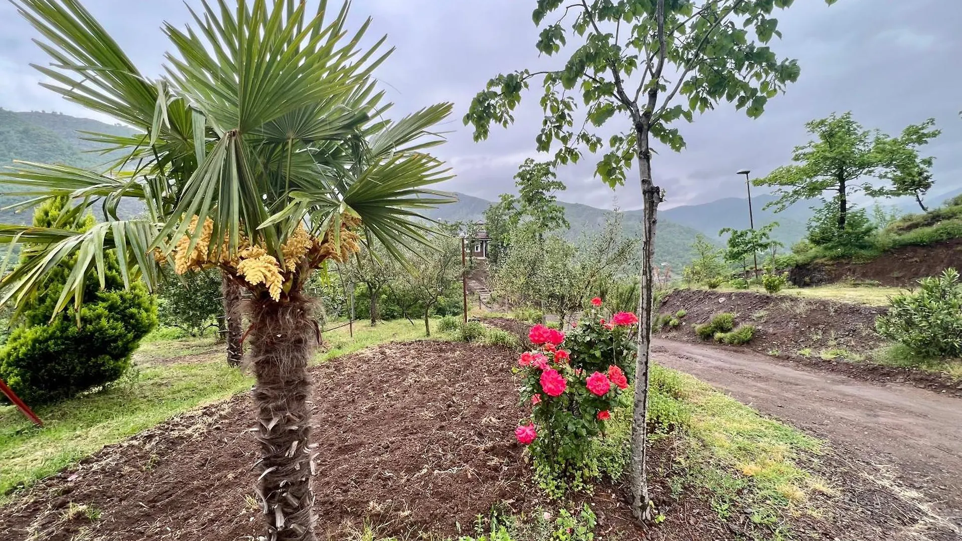 Bauernhof Baven -Toven Naturae Rubik Albanien