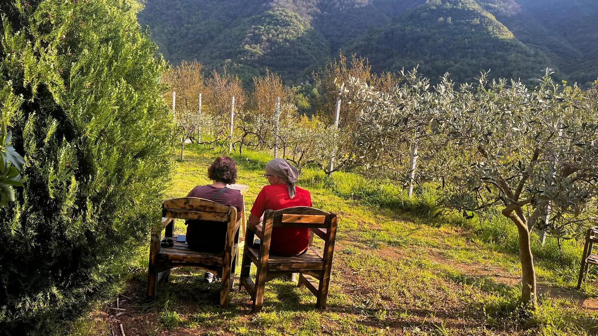 Baven -Toven Naturae Rubik Çiftlik konaklama