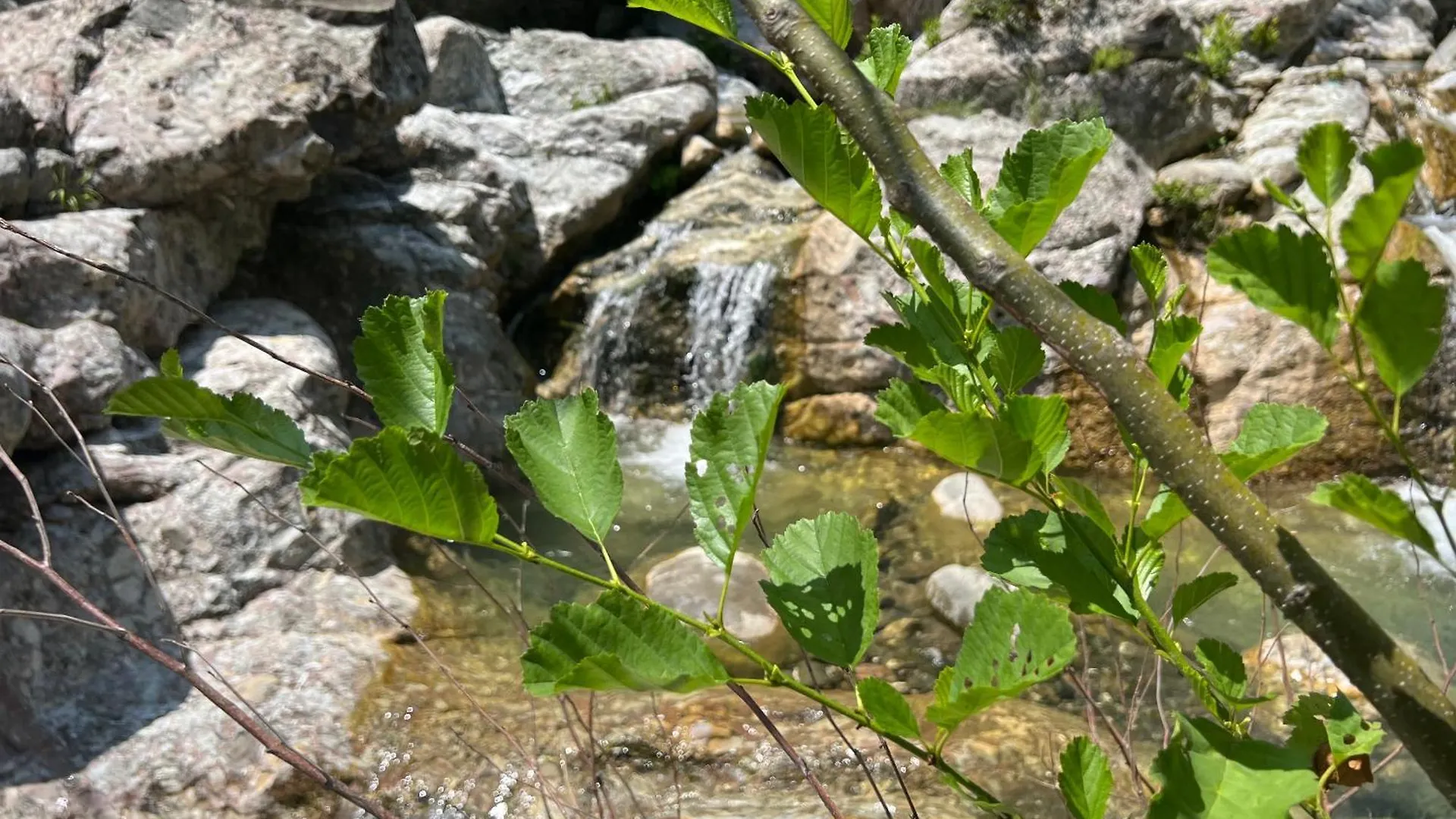 Gospodarstwo agroturystyczne Baven -Toven Naturae Rubik Albania