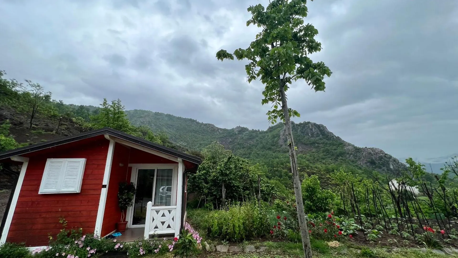 Baven -Toven Naturae Rubik Albania