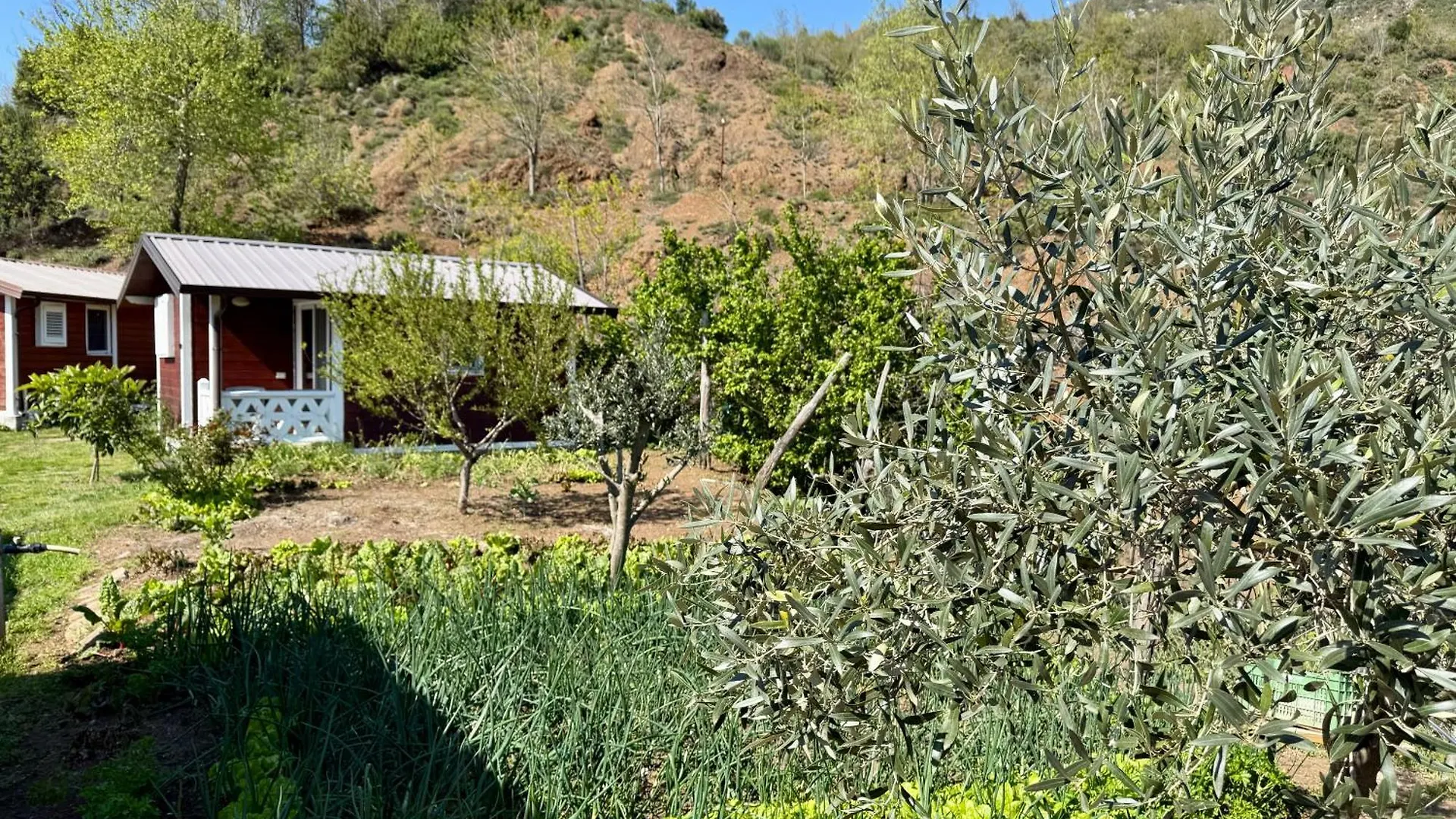 Baven -Toven Naturae Rubik Gospodarstwo agroturystyczne